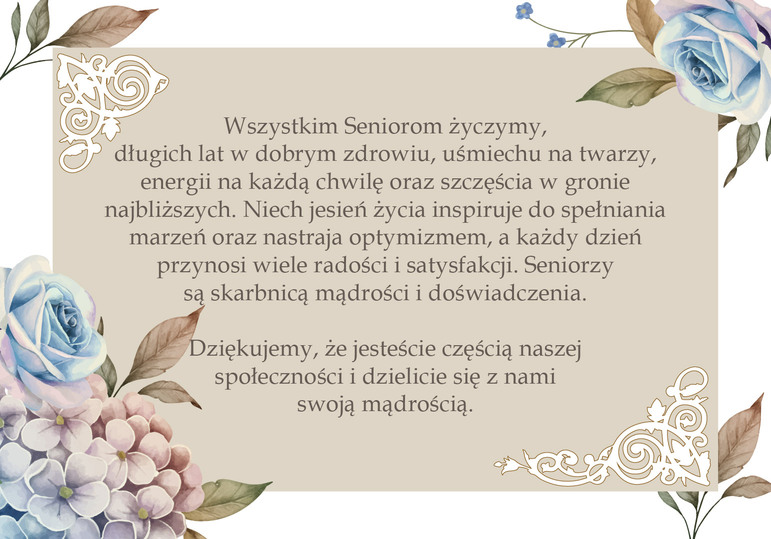 Galeria zdjęć
